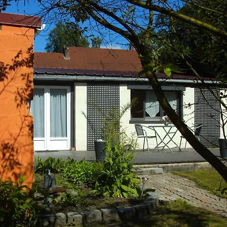 Pomme De Pin *